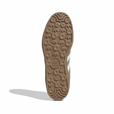 GAZELLE INDOOR – Image 4