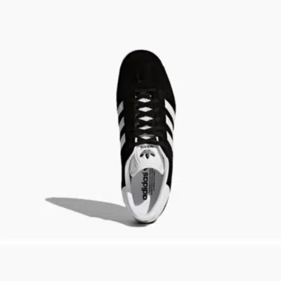 GAZELLE – Image 3