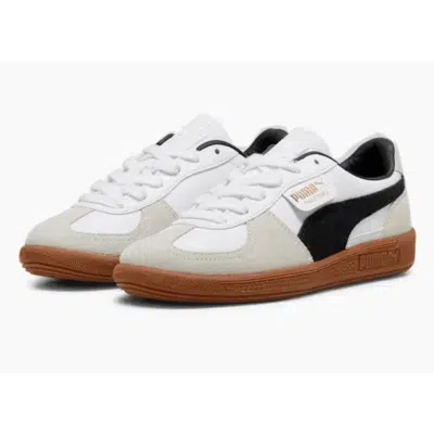 PALERMO LTH – Image 2