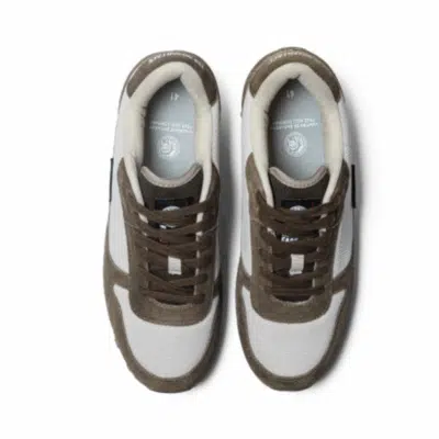 LATITUDE BROWN – Image 3