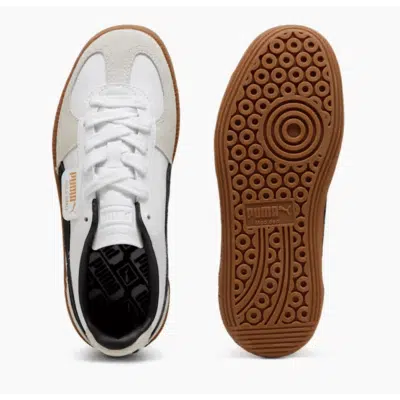 PALERMO LTH JR – Image 3