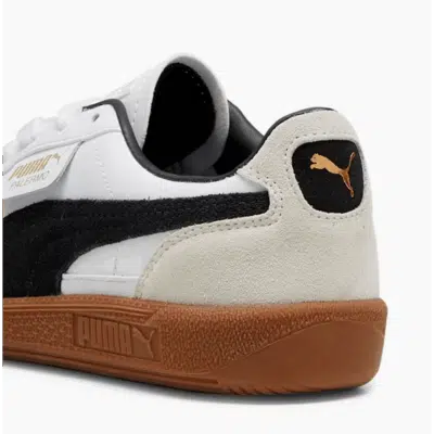 PALERMO LTH JR – Image 4