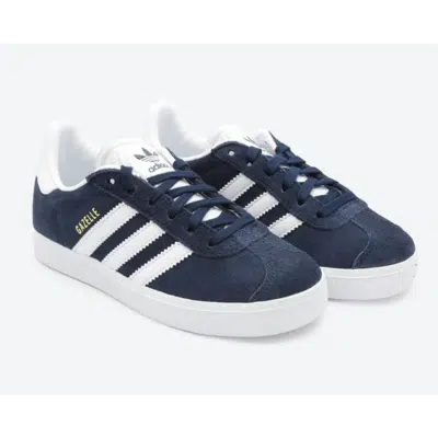 GAZELLE C – Image 2