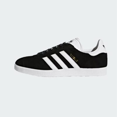 GAZELLE – Image 1